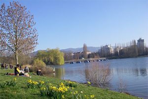 Freiburg im Breisgau